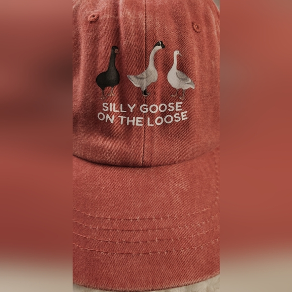 NEW - NEW - HAT, BASEBALL CAP - Geese... SILLY GOOSE ON THE LOOSE - Picture 5 of 5